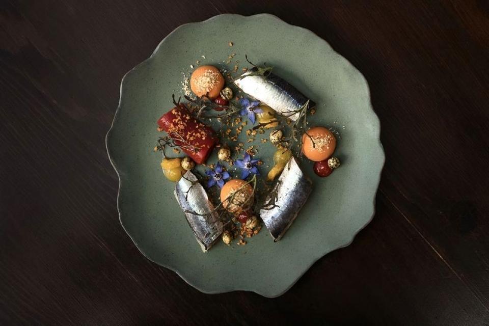 entrada_sardinhas_da_nossa_costa_02_resultado