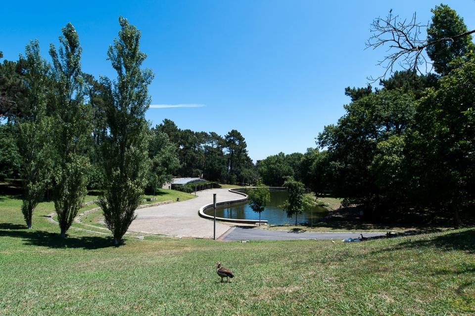 #mno_parque_da_pasteleira01