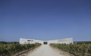 Adega Caminhos Cruzados Nelas