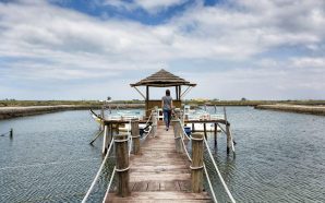 O miradouro de Aveiro que já foi uma salina
