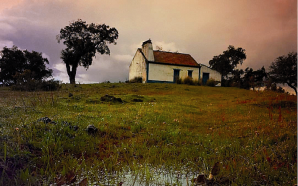 Crónica de Afonso Cruz