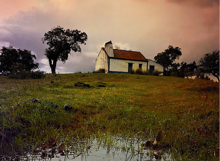 Crónica de Afonso Cruz