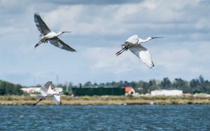 Lisboa: 8 ideias para aproveitar o último fim de semana do mês