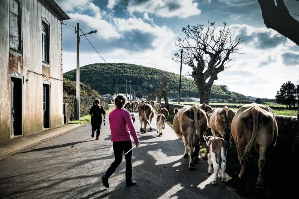 Graciosa para um roteiro Evasões