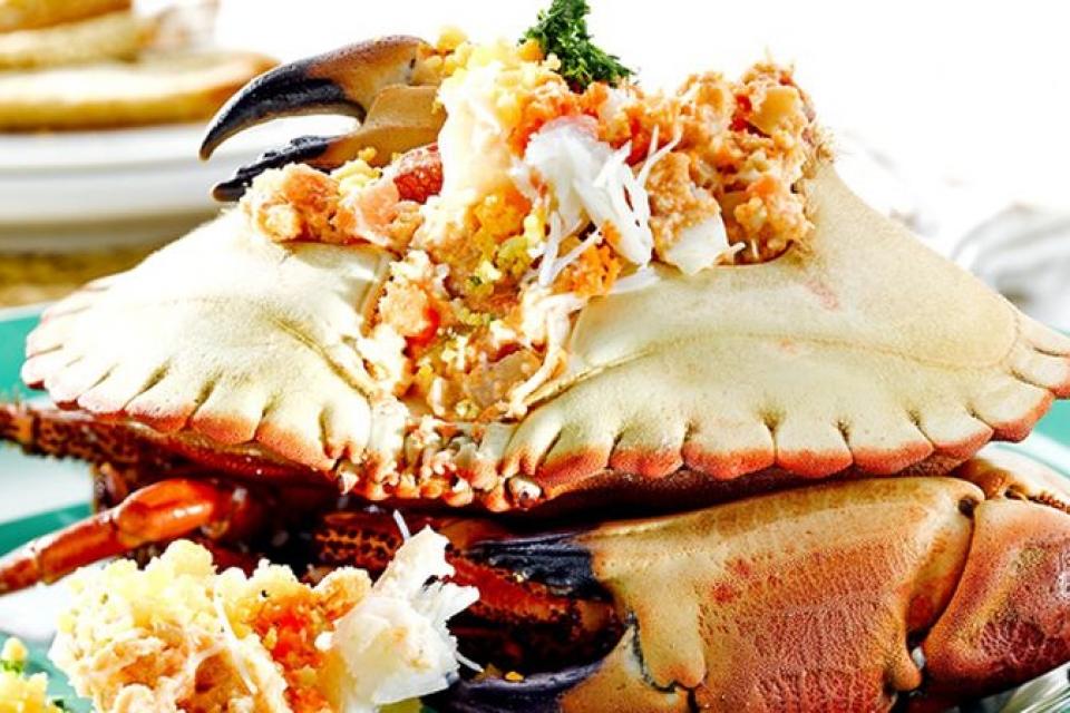 festival-sapateira_resultado