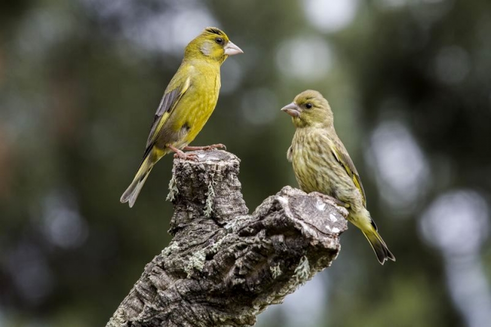 21712212_FOTOGI000038_resultado