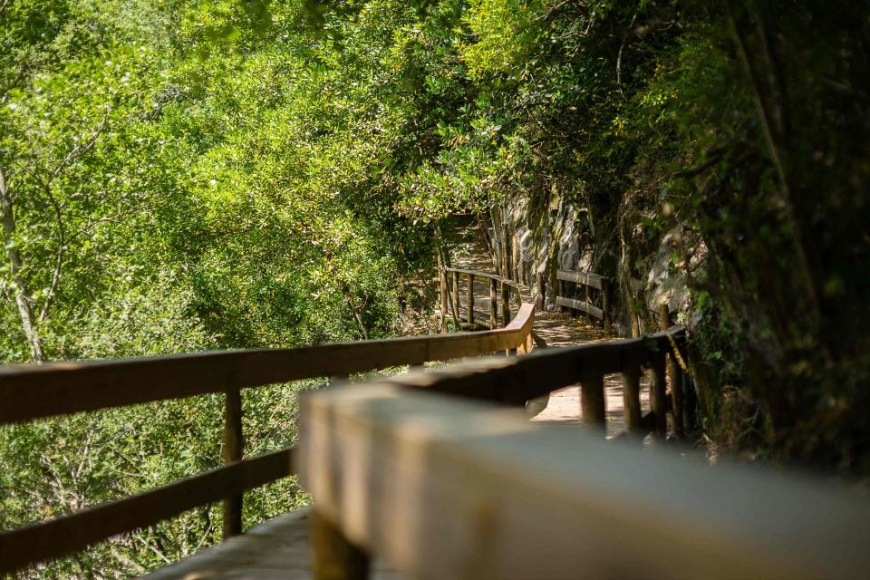 25324859_BINARY_GI22072016RF00000010