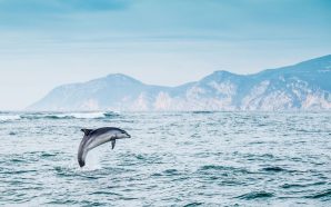 O que fazer em Setúbal no fim de semana prolongado