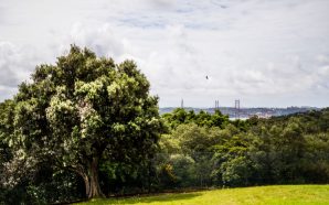 7 ideias para aproveitar o fim de semana em Lisboa