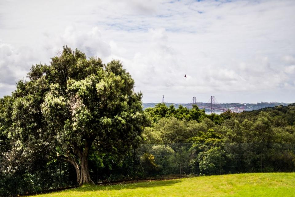 LISBOA – Roteiro da Freguesia de Benfica