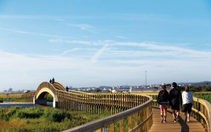 Barrinha de Esmoriz: o passadiço com muito que ver e fazer