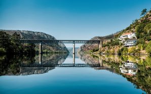Castelo Branco, onde o tempo abranda e o azeite abunda