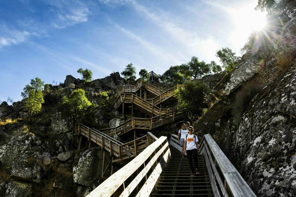 32631059_BINARY_GL_021018_MARIAJOAOGALA005