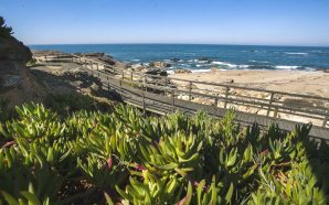 Passadiços de Vila do Conde: passeio junto ao mar