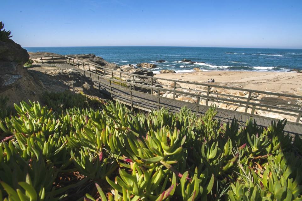 32638842_BINARY_GI01102018PEDROGRANADEIRO_000032_resultado