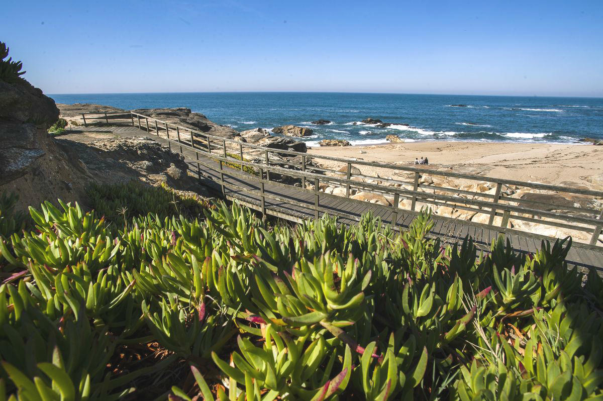 Passadiços de Vila do Conde: passeio junto ao mar