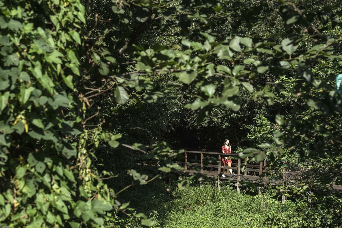 Um pulmão verde junto ao rio a 20 minutos do Porto