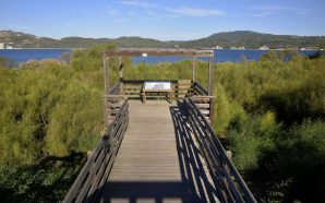 Troia tem um passadiço sobre dunas com 2 mil anos