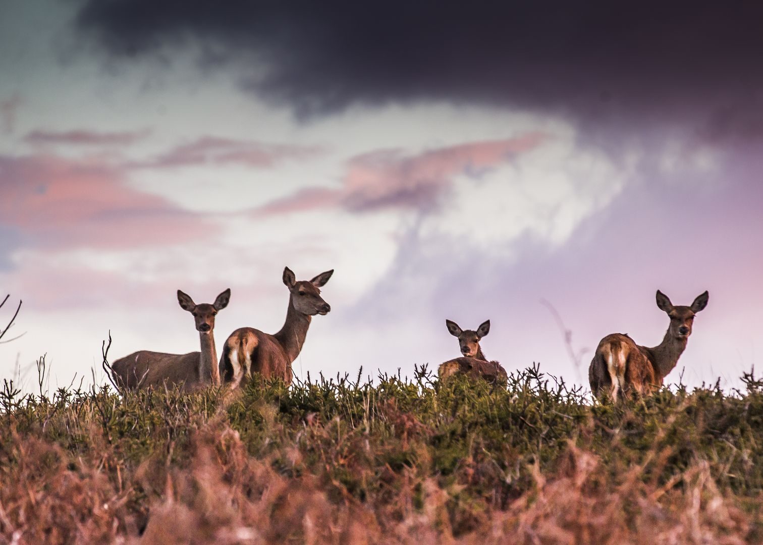Esta é a melhor época do ano para visitar as Aldeias do Xisto