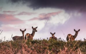 Esta é a melhor época do ano para visitar as Aldeias do Xisto