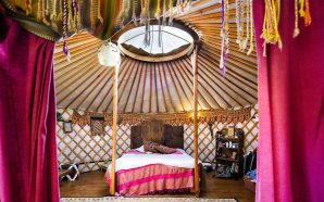 Um campismo com conforto, gatos e natureza em Penela