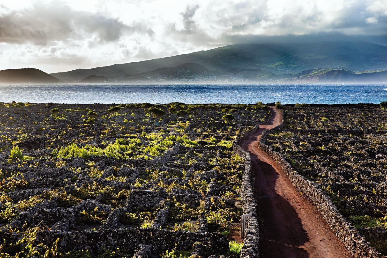 Pico, São Jorge e Faial: os trilhos mais bonitos para fazer a pé