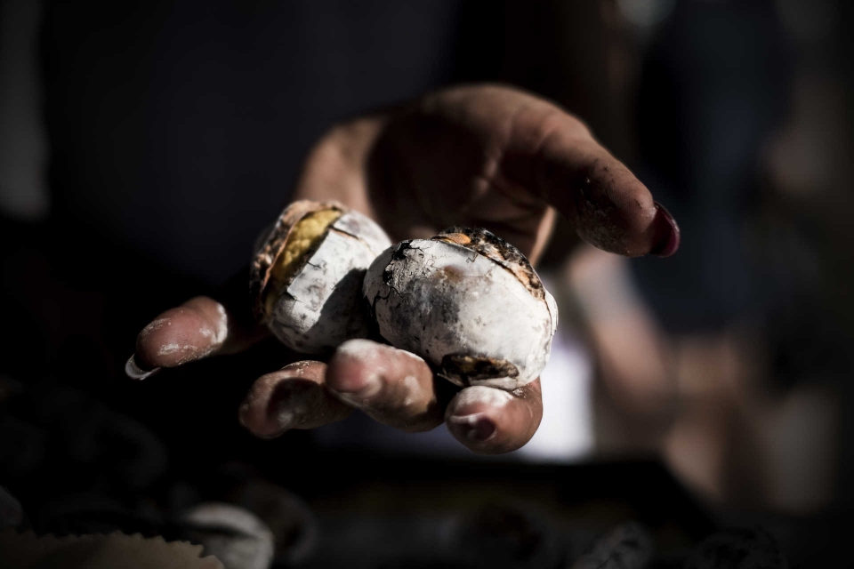 Voltaram os vendedores de castanhas no Porto