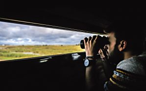Passear por um oásis de natureza em pleno Tejo