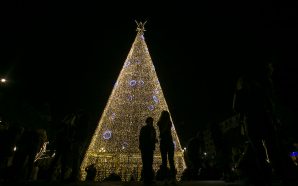 Árvore Natal aliados