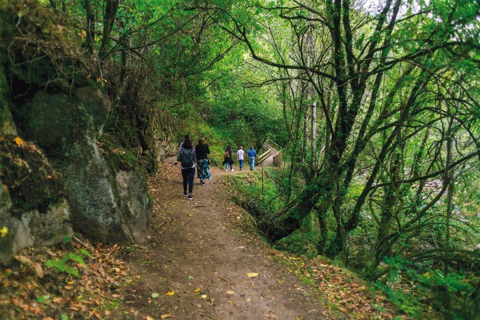 20 passeios para conhecer o país nestas férias de Natal