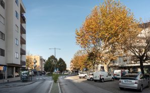 Uma rua de Ermesinde cheia de vida, longe da confusão