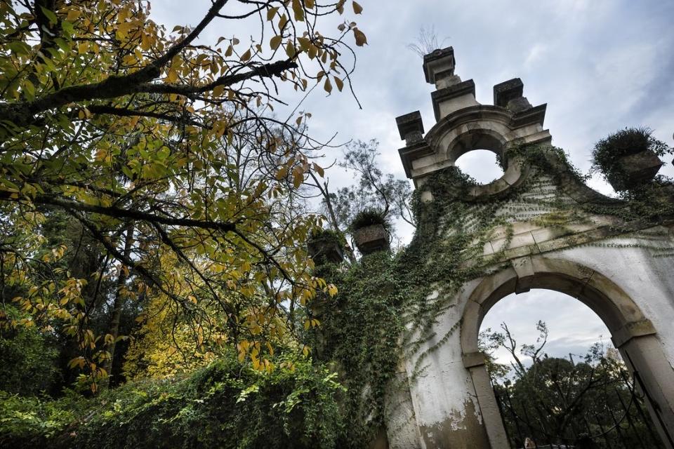 Jardim Botânico da Universidade de Coimbra
