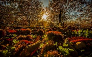 Marvão: Uma viagem a um Alentejo diferente
