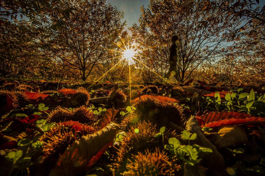 Marvão: Uma viagem a um Alentejo diferente