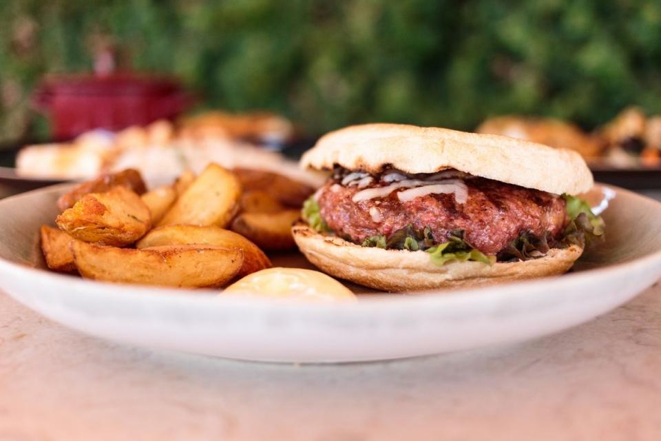 43137453070_96348a1d1c_k_resultado