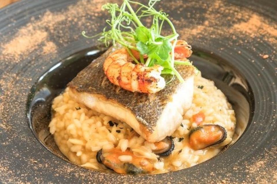 45154839884_befa50b92b_o_resultado