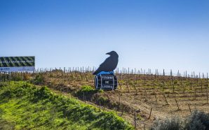 Lisboa é um dos destinos vínicos mundiais para 2019