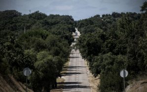 Crónica de Pedro Ivo Carvalho: Os portugueses descobriram Portugal