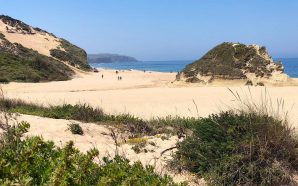 Este bar no Meco continua a dar bebidas a quem apanhar lixo