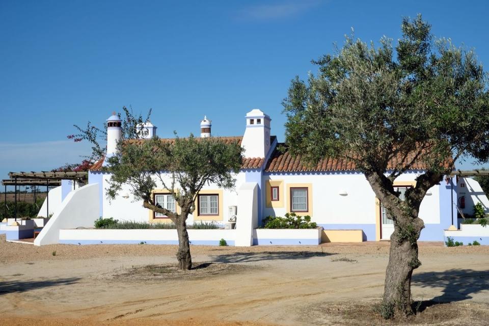 Reportagem na Zambujeira do Mar. Herdade do Touril