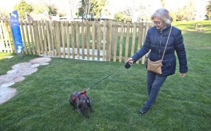 O primeiro parque canino do Porto em imagens