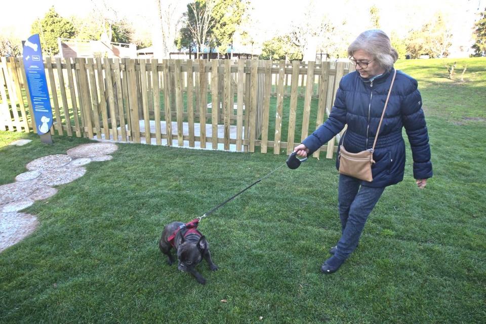 33437468_04012019GI001_resultado