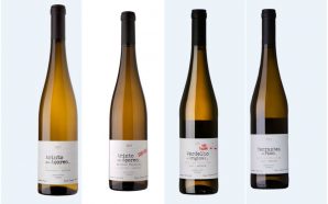 Açores: uma nova era do vinho português
