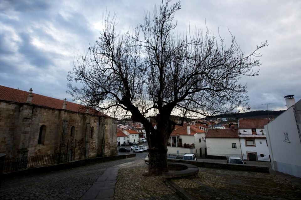 o-freixo-1-960x640_c