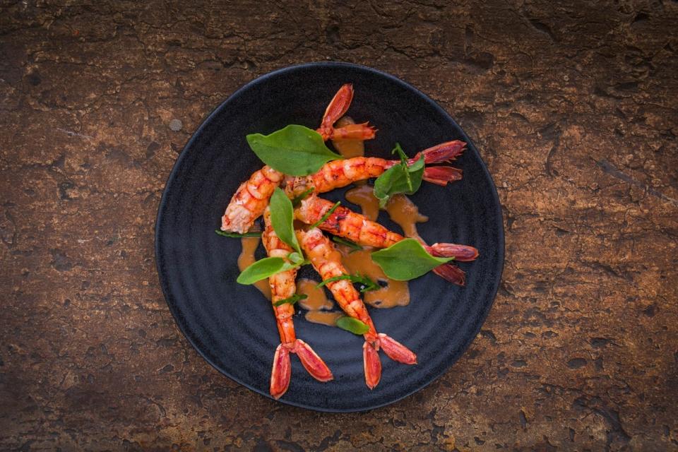 DDS_0962_Easy-Resize.com