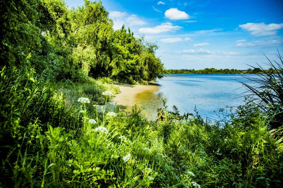 31511111_BINARY_GI2252018REINALDORODRIGUES2375_Easy-Resize.com