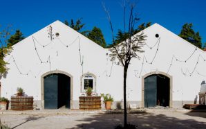 Torres Vedras tem um novo enoturismo para beber e petiscar