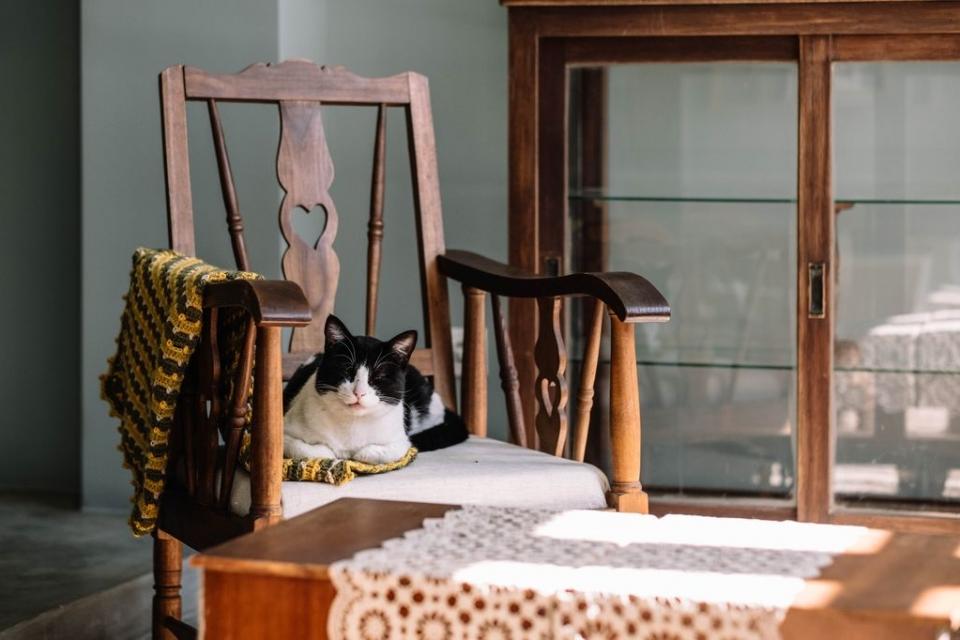 30840594_BINARY_GI21032018IGORMARTINS00013_resultado-960x640_c