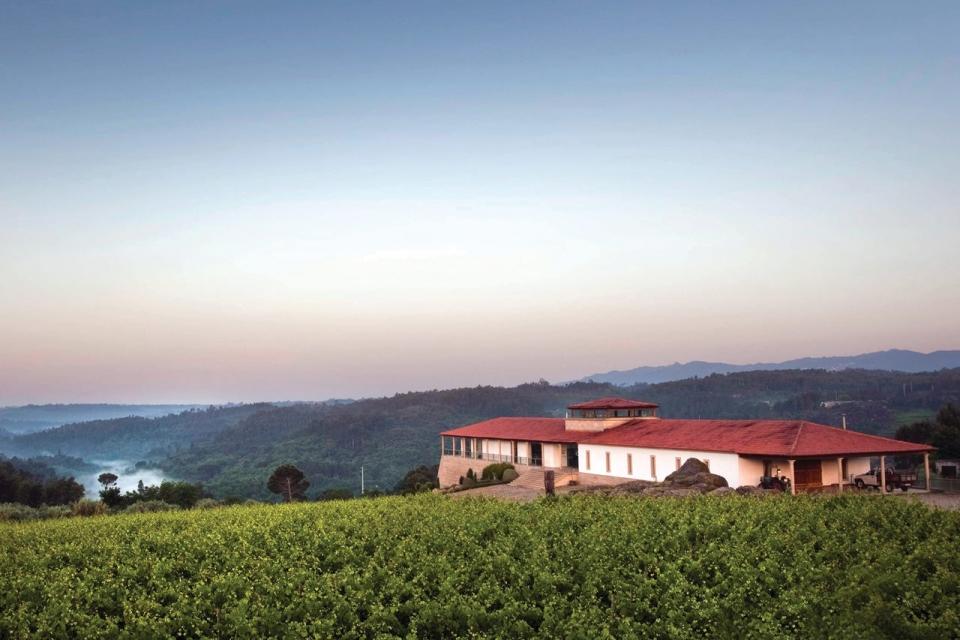 FMZ0iYsQ_Easy-Resize.com