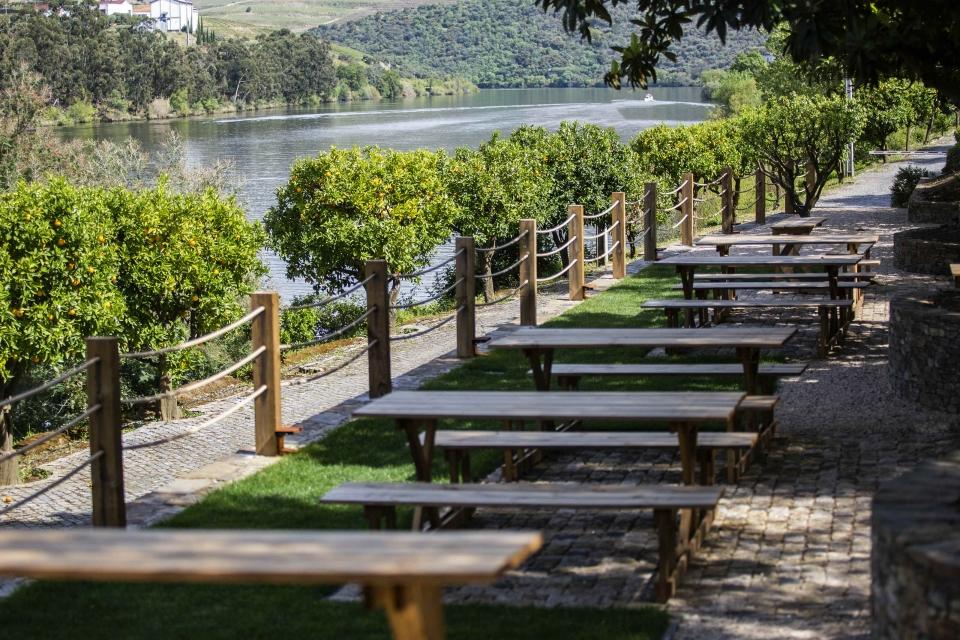 Quinta das Carvalhas_16